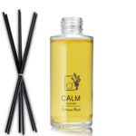 100ml Luxury Glass Diffuser Bottle With Black Reeds (No Cap)